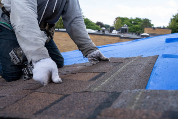 Best Roof Leak Repair  in Meeker, CO