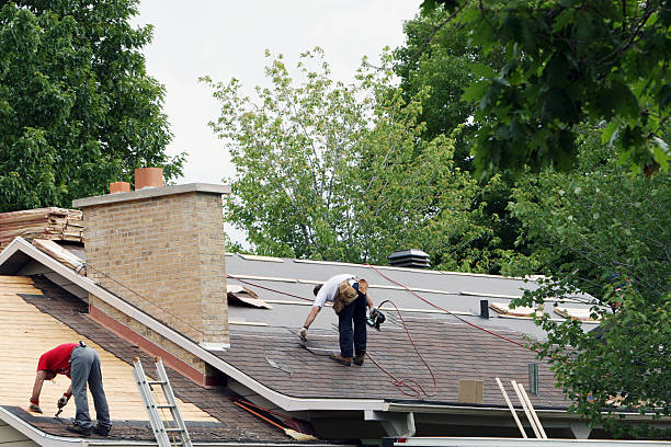 Best Flat Roof Repair Services  in Meeker, CO