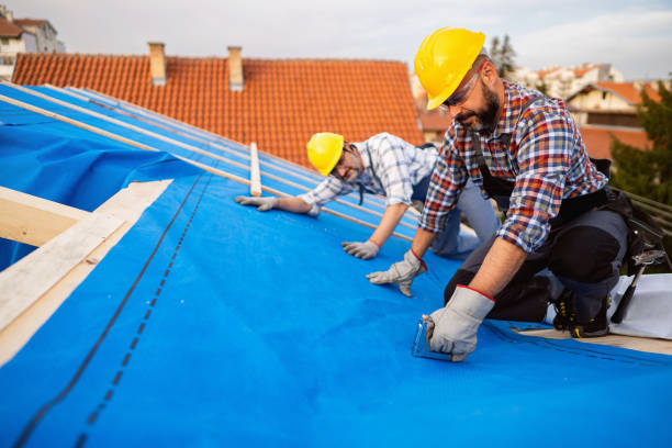 Best Local Roofing Companies  in Meeker, CO