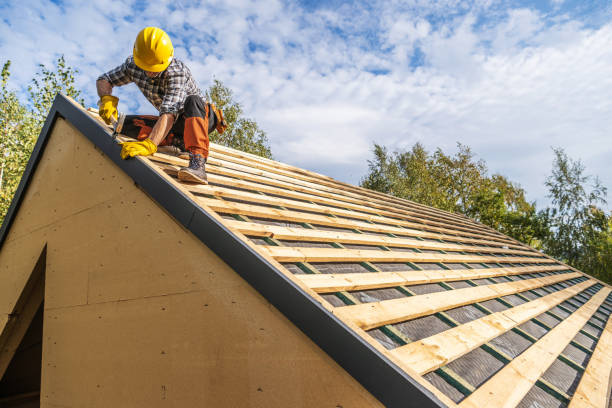 Best Roof Repair Services  in Meeker, CO